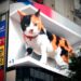 Gato gigante 3D impressiona visitantes em tela de alta definição no Japão