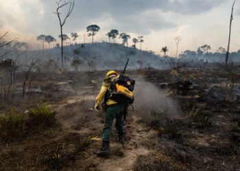 Inverno amazônico é única esperança para conter queimadas