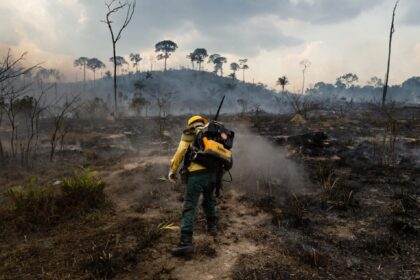 Inverno amazônico é única esperança para conter queimadas