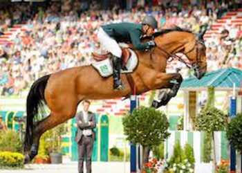 Na Europa, surto de vírus mata cavalos preocupando hipismo nas Olimpíadas