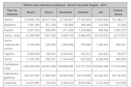 Mato Grosso lidera rebanho bovino brasileiro