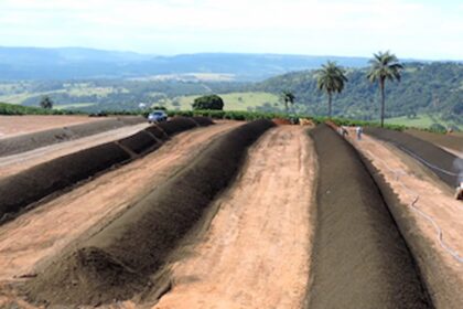 Confira os benefícios da compostagem na lavoura e na indústria