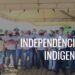 Independência Indígena: Xavantes dão início à primeira colheita de arroz em MT