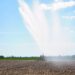 Paraná ganha competitividade no agro devido isenção de ICMS nos sistemas de irrigação