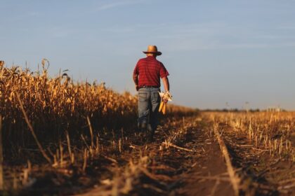 Governo libera R$ 693 milhões para o Programa de Seguro Rural neste ano