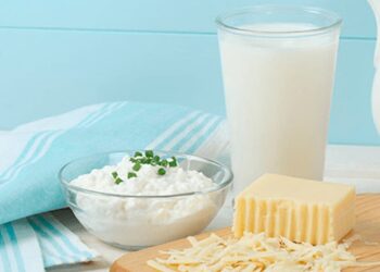 Produtos lácteos têm queda generalizada no mês de novembro/21