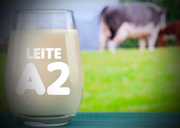 Agora é lei! Benefícios digestivos do leite A2 serão incluídos na embalagem