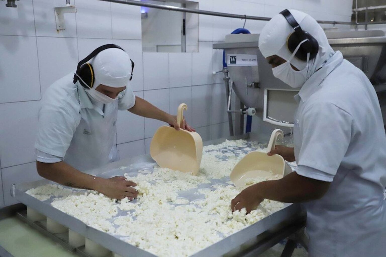 Efeito muçarela: como a pecuária do leite sobrevive à pandemia