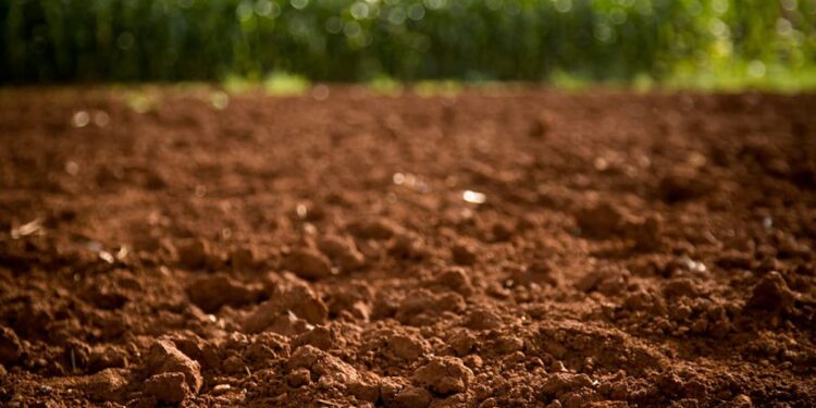 Escassez hídrica afeta estudo sobre solos no Norte do Paraná