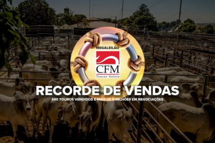 CFM bate recorde com Megaleilão Nelore 100% online