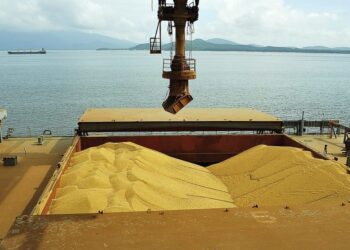 Exportações de milho no Tocantins sobem 400% em 2019