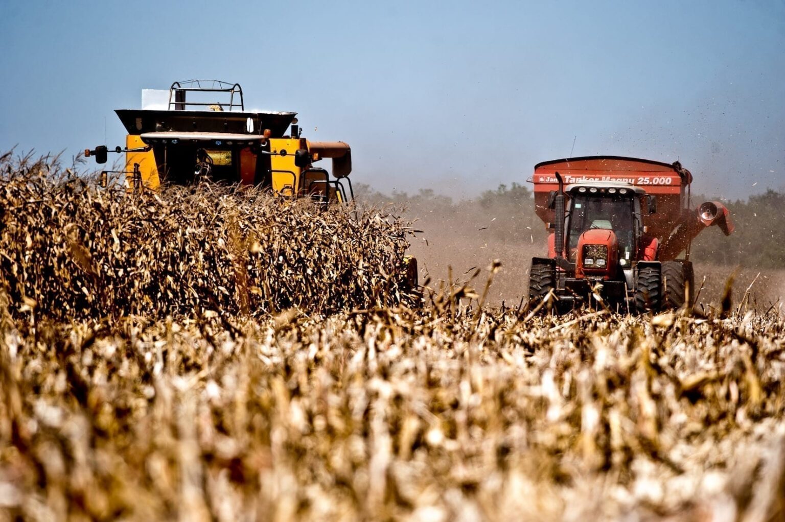 Produtores de MT podem participar da validação do zoneamento de risco climático do milho no estado