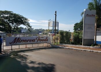 Controladores da Minerva Foods avaliam fechamento de capital, OPA pode ser de R$ 12,00
