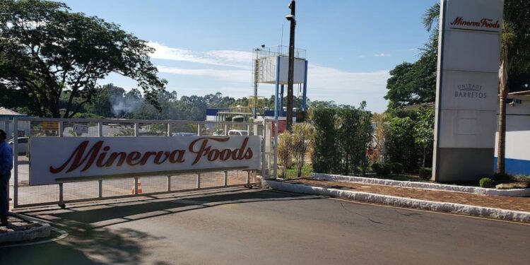 Controladores da Minerva Foods avaliam fechamento de capital, OPA pode ser de R$ 12,00