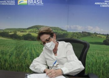 Incra e Caixa firmam parceria para oferta de serviços bancários a beneficiários da reforma agrária