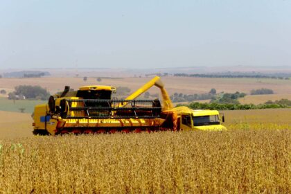 Calendário de levantamento das safras agrícolas e do mercado hortigranjeiro é divulgado pela Conab. Confira as datas