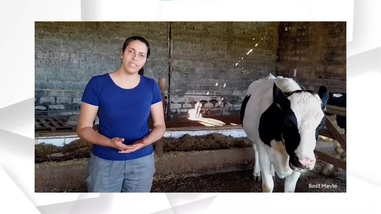 Óleos essenciais podem aumentar eficiência alimentar de vacas leiteiras