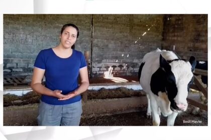 Óleos essenciais podem aumentar eficiência alimentar de vacas leiteiras