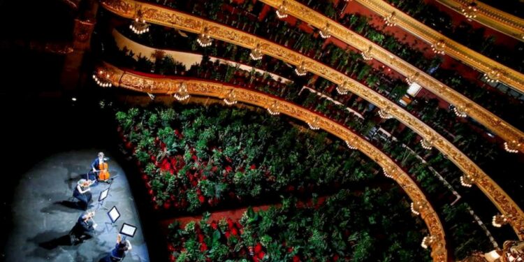 Ópera de Barcelona reabre portas com apresentar concerto para 2300 plantas