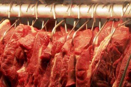 Vendas de carne bovina crescem 11% e somam US$ 3,5 bilhões