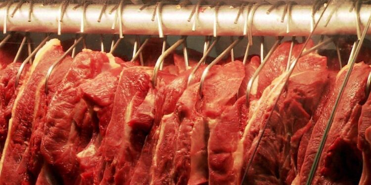 Carne bovina: segue em valorização neste mês