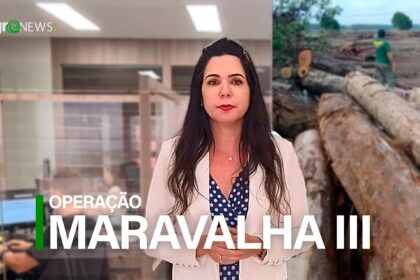 Saiba tudo sobre a “Operação Maravalha III” e as fraudes de produtos florestais em MT, RO e PA