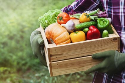 Orgânicos contribuem para inovação da produção agropecuária nacional