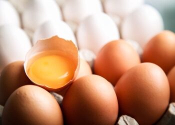 Mercado de ovos registra baixa significativa de preços no encerramento da semana