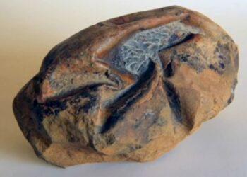 Fóssil achado na Antártida é um ovo de réptil gigante