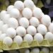 Embarques de ovos comerciais atingem o melhor desempenho de 2020