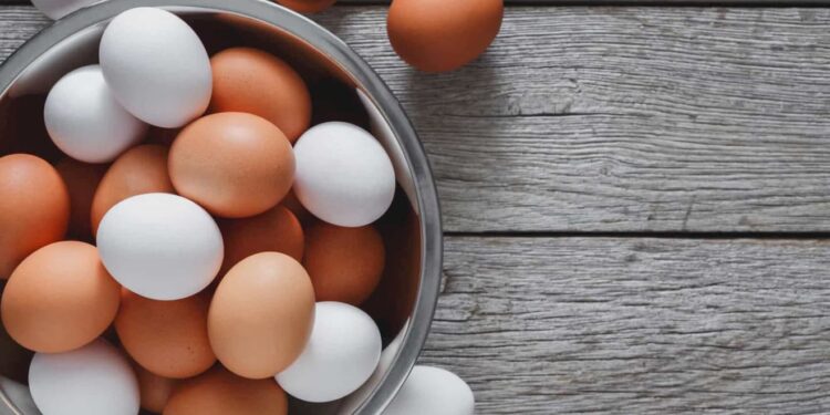 Preços dos ovos reagem neste início de fevereiro de 2023