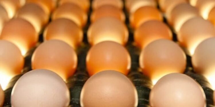 Ovos: plantel de galinhas em produção no mês de abril