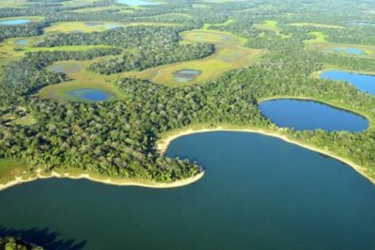 "Pantanal Village", o sensacional condomínio de Periquitos