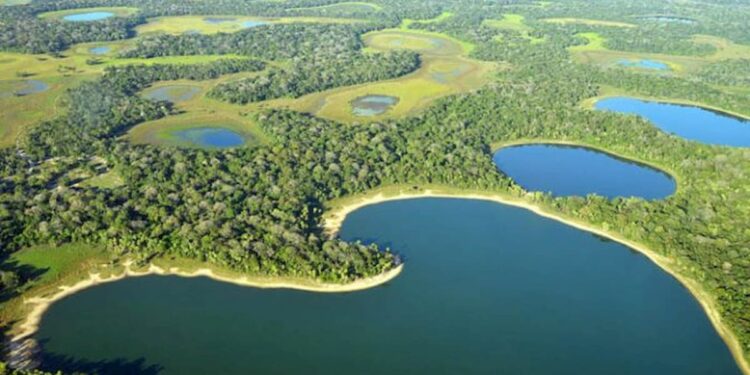 Lei sancionada pelo governador de MS define 12 de novembro como "Dia do Pantanal"