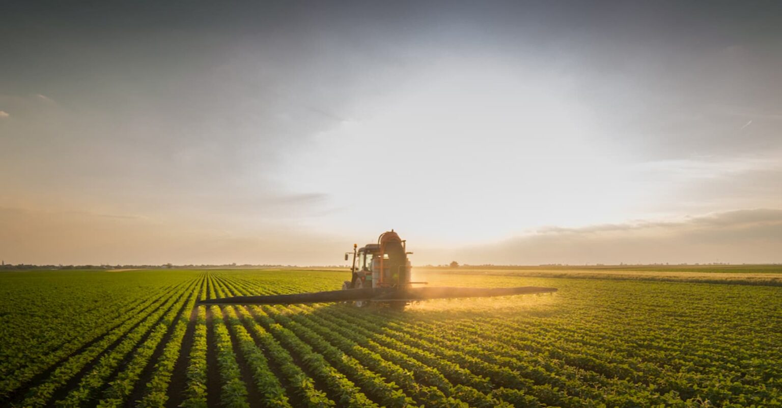 PIB do agronegócio cresce 16,81% de janeiro a outubro de 2020