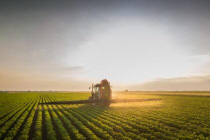 PIB do Agro segue em alta, mas pandemia reduz o ritmo