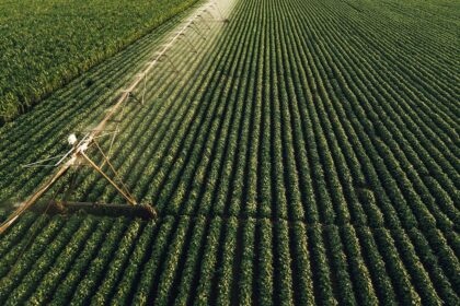 Clima favorece semeadura das culturas de 1ª safra e produção pode chegar a 289,8 milhões de ton