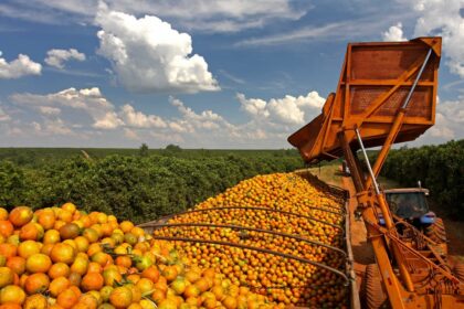 Preços da laranja estão enfraquecidos