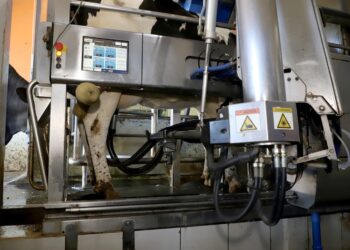 Preço do leite ao produtor tem alta de 31,5% em relação a 2020, fechando em R$2,31 na média nacional