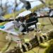 Engenheiros de Stanford criam robôs que pousam como pássaros