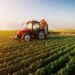Reforma de canaviais com cultivo de soja conta com seguro inovador