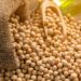 Brasil deve embarcar até 6,5 milhões de toneladas de soja em agosto, diz ANEC