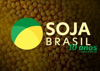 Soja Brasil: projeto com a maior cobertura brasileira do grão chega a 10ª temporada