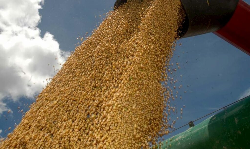 Produção de grãos no MT dá salto de 16,5% com impressionante ganho de produtividade