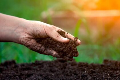 Perdas de solo são 73% maiores em áreas sem terraços, indica estudo