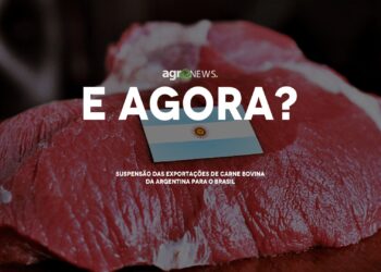 Entenda os impactos da suspensão das exportações de carne bovina da Argentina para o Brasil