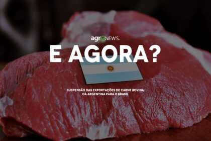 Entenda os impactos da suspensão das exportações de carne bovina da Argentina para o Brasil