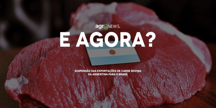Entenda os impactos da suspensão das exportações de carne bovina da Argentina para o Brasil