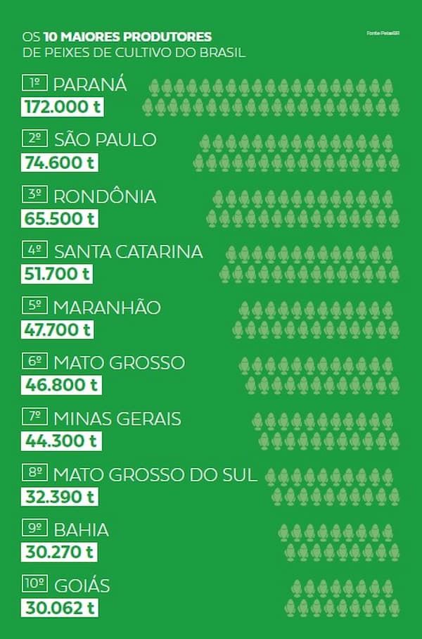 Maranhão supera Mato Grosso entre os top 10 dos estados na piscicultura brasileira em 2020, confira a lista