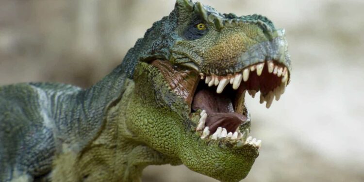 Você sabia que os braços do Tiranossauro Rex eram importantes?